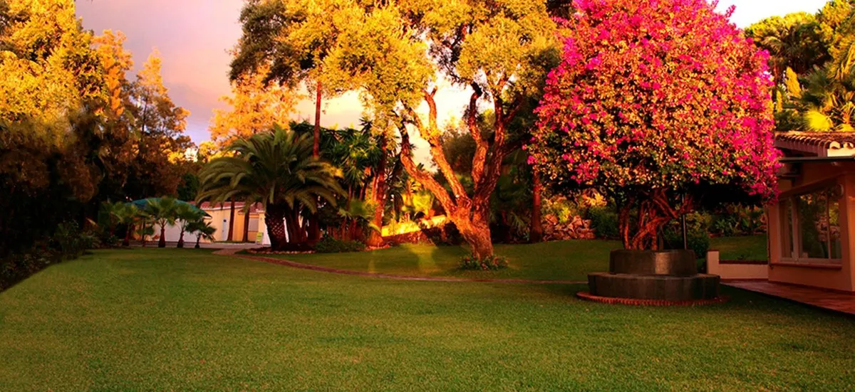 dc2db00a-3630-4624-a27d-4c4305df9e79