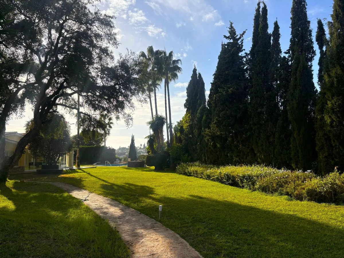 1e428bea-e3b8-4365-b087-901460fafa29