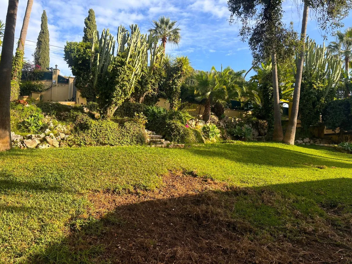 c52a9069-4d14-4035-98a7-b606b23bcbb6