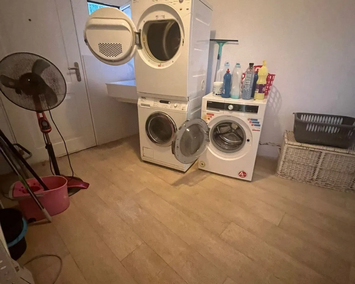 d874c841-2fd3-43bb-a645-732c80692d12