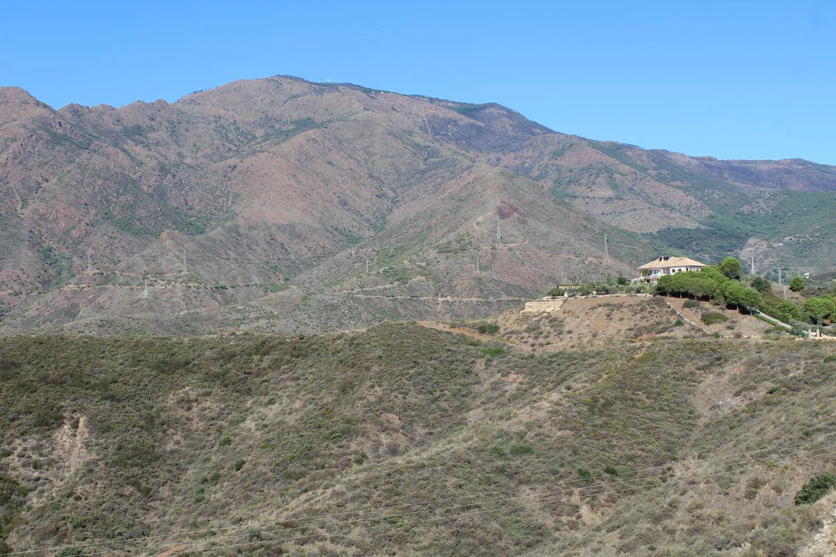 b6b3a271-5ebb-4c07-953d-4910ed090ef7