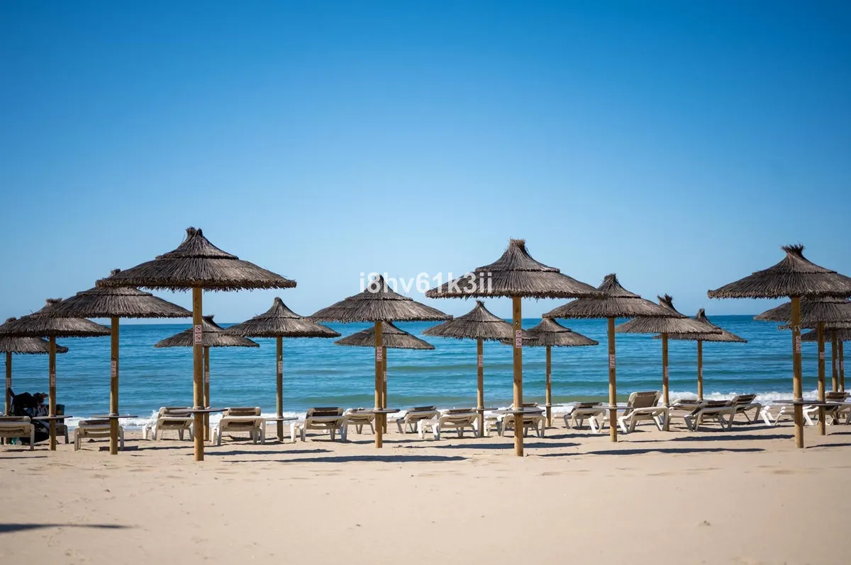 e4da5cbd-810f-442c-a736-4c265e0e3792