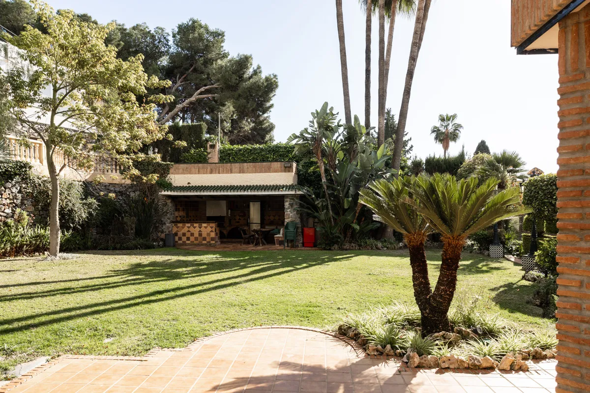 1c877c6e-4dd9-49bb-a21a-1b9e2bf8a482