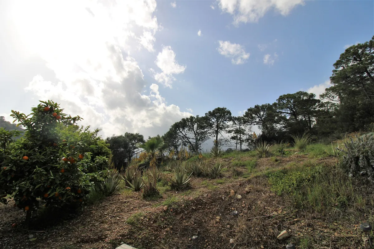 4c278899-2b6b-4829-ac85-2e492f238d24