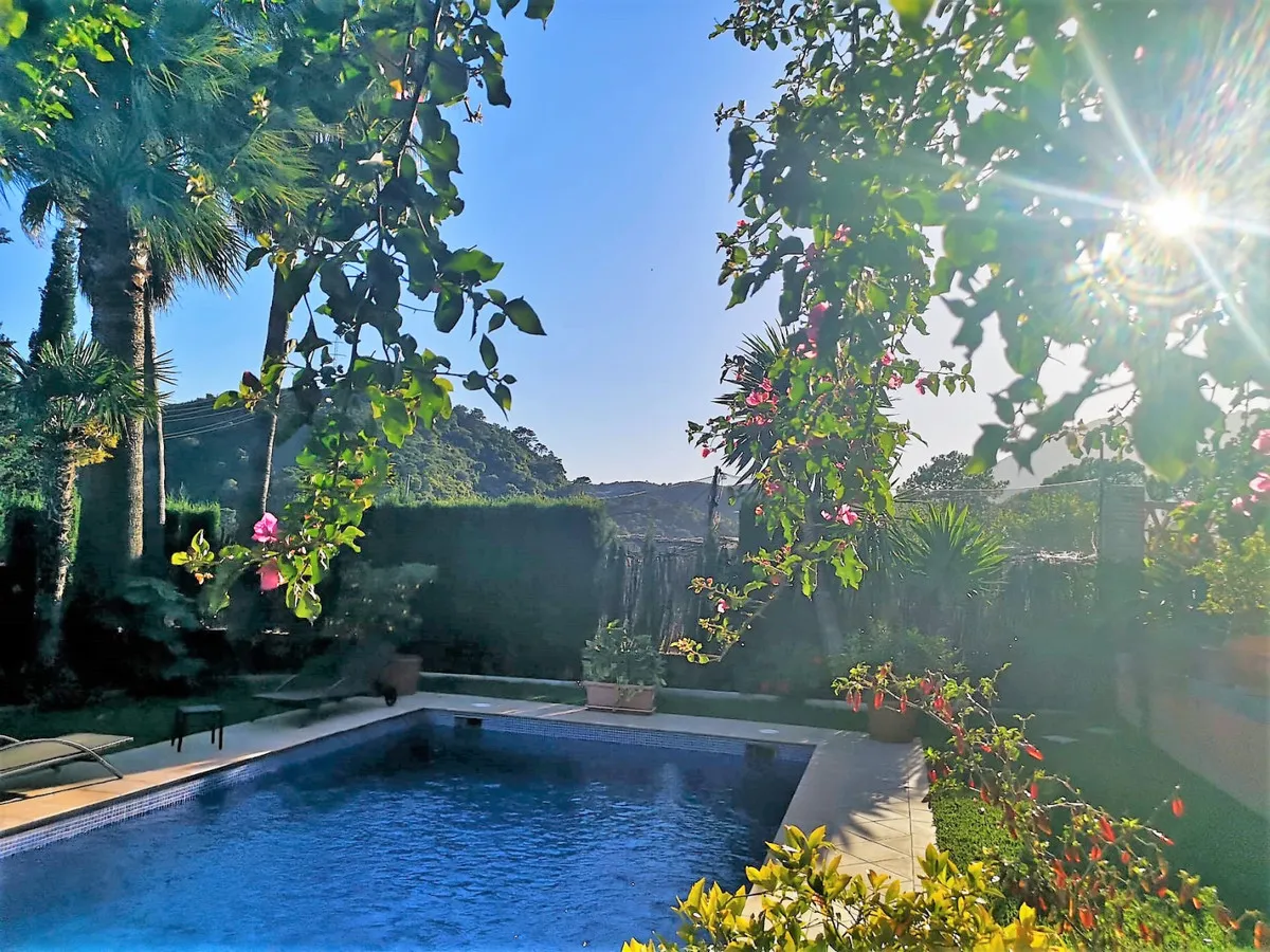 5869a331-a78a-41aa-a666-6651c5533764