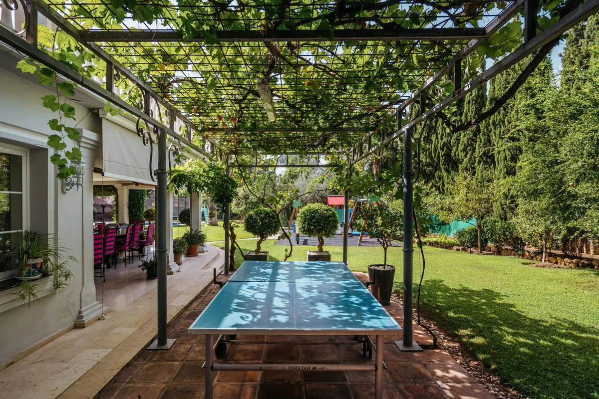 2364198d-0568-4107-9cba-541899d19226