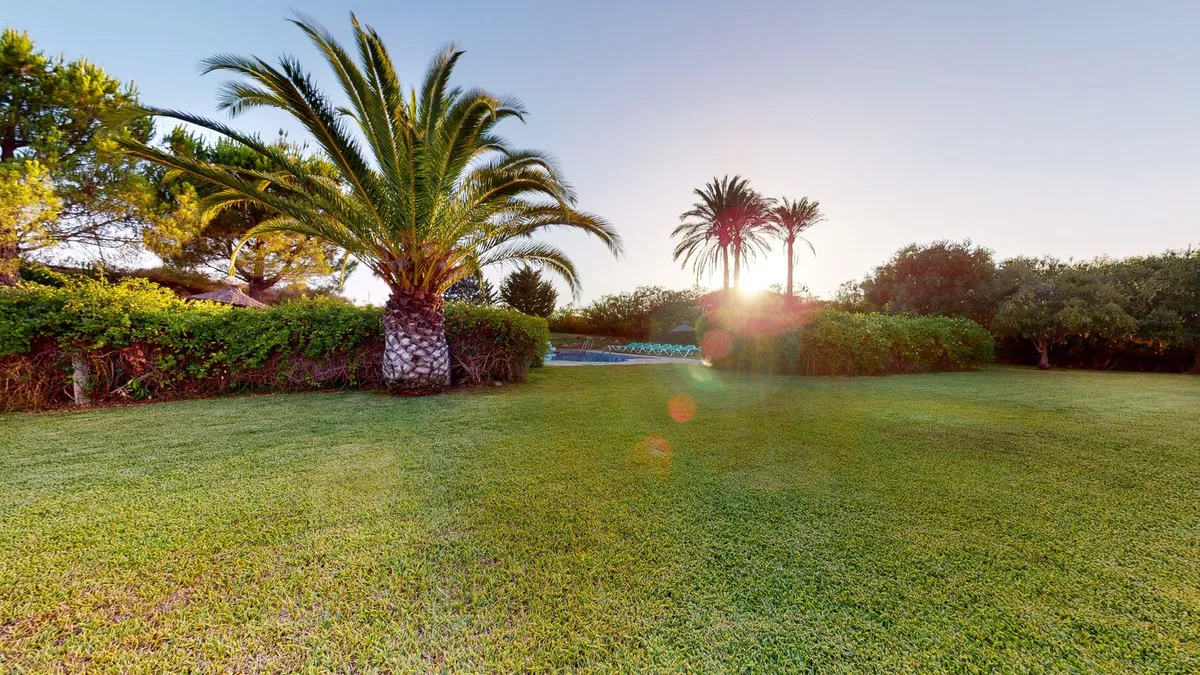 3c225e94-45d4-44d4-aec1-0af88df5ee0f