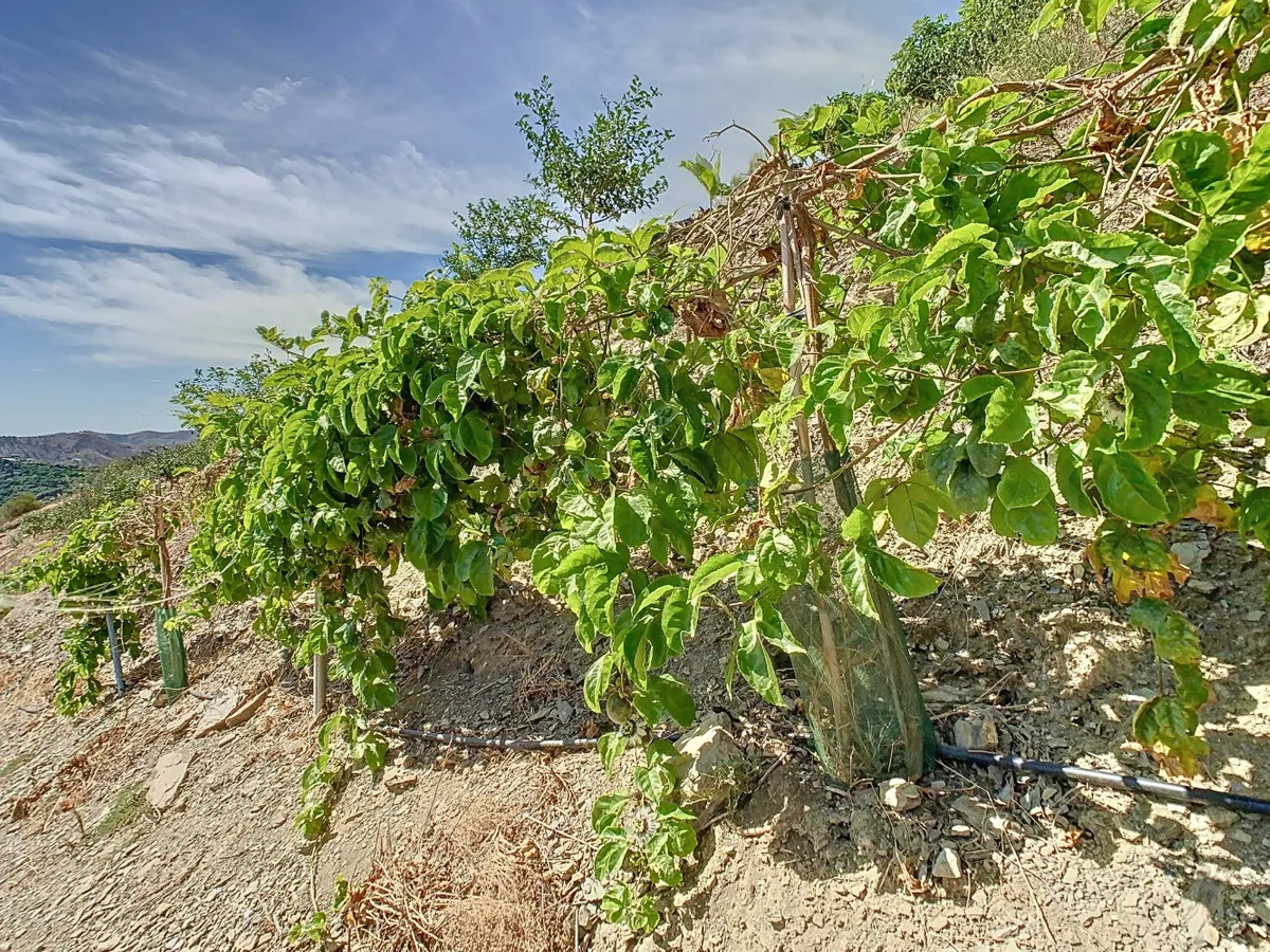 224b108e-1f2b-43fa-804b-83359ba100d6