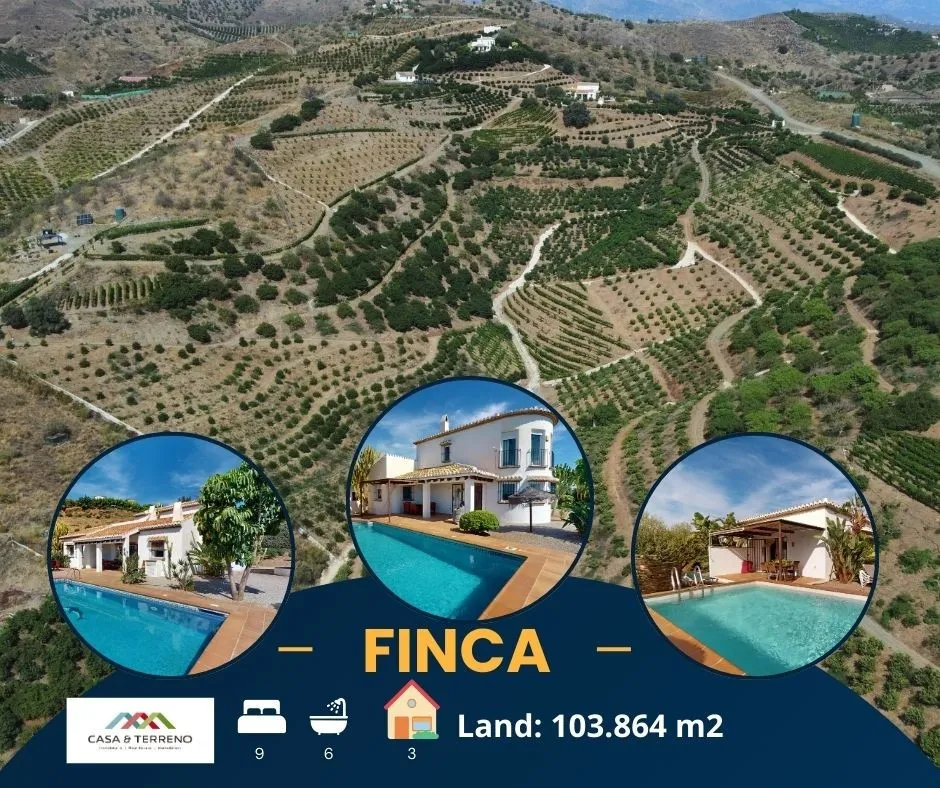 24ae5ee6-9e9d-44f4-ac03-a5048eee2d59