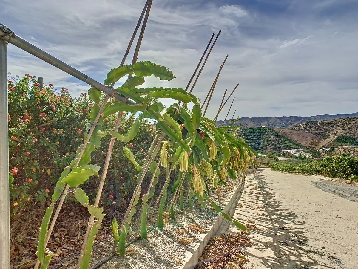 3dc5d288-71a2-4980-9ee2-f140ff0483ea