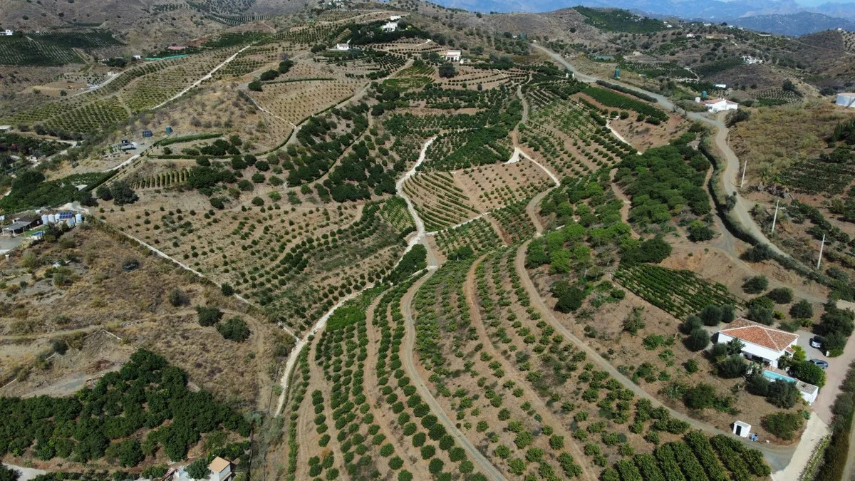 6dd106ef-2013-4be5-b343-9c2f92f1d213