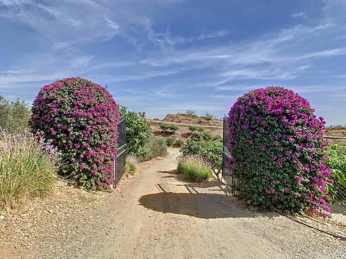 97111866-016b-4606-9c90-986d7b734a77