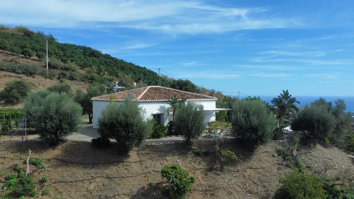 b06665e0-a29b-4279-b8c3-1302d6f03199