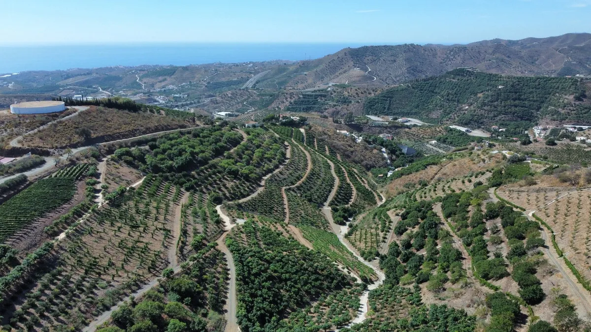 c6ed1b4b-0c10-4521-8123-3a6ea0aed670