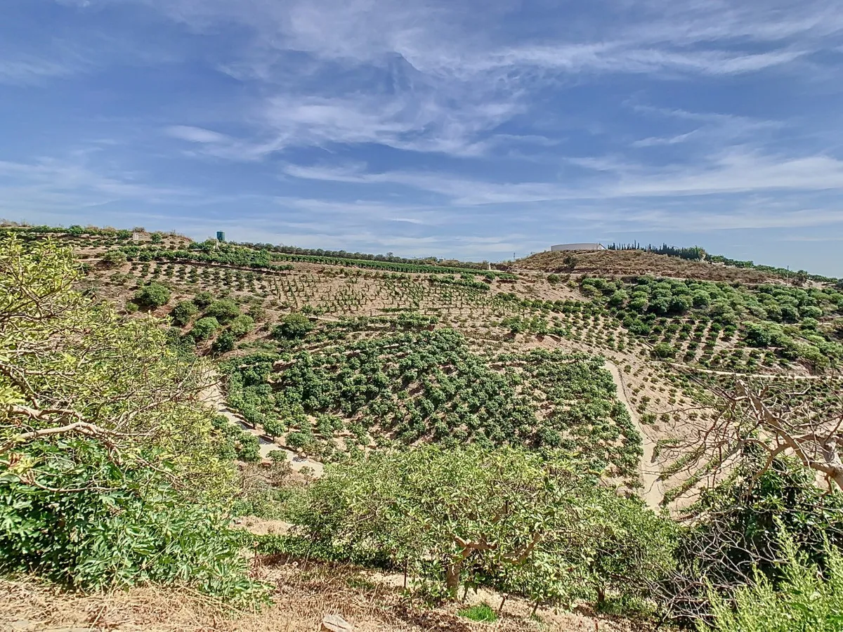 f275bbb1-b1b5-47f0-87bc-3052756de5e6