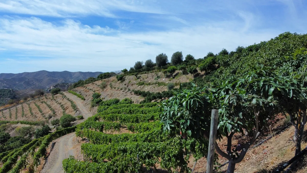 f46502b3-a161-4421-9d52-ac73f99a04b3