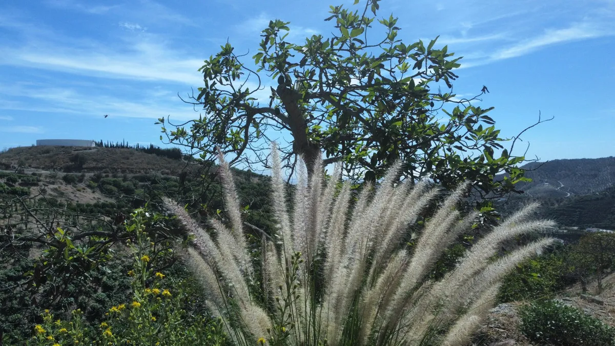 f6670bf0-692c-424e-af62-8e191b2a1ce9