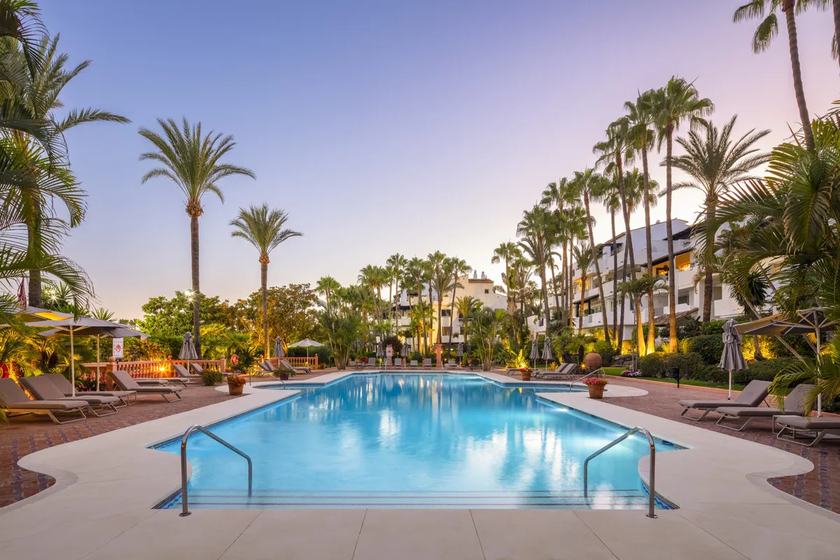 20d2313f-7c5c-4b09-88ec-e167ca36485d