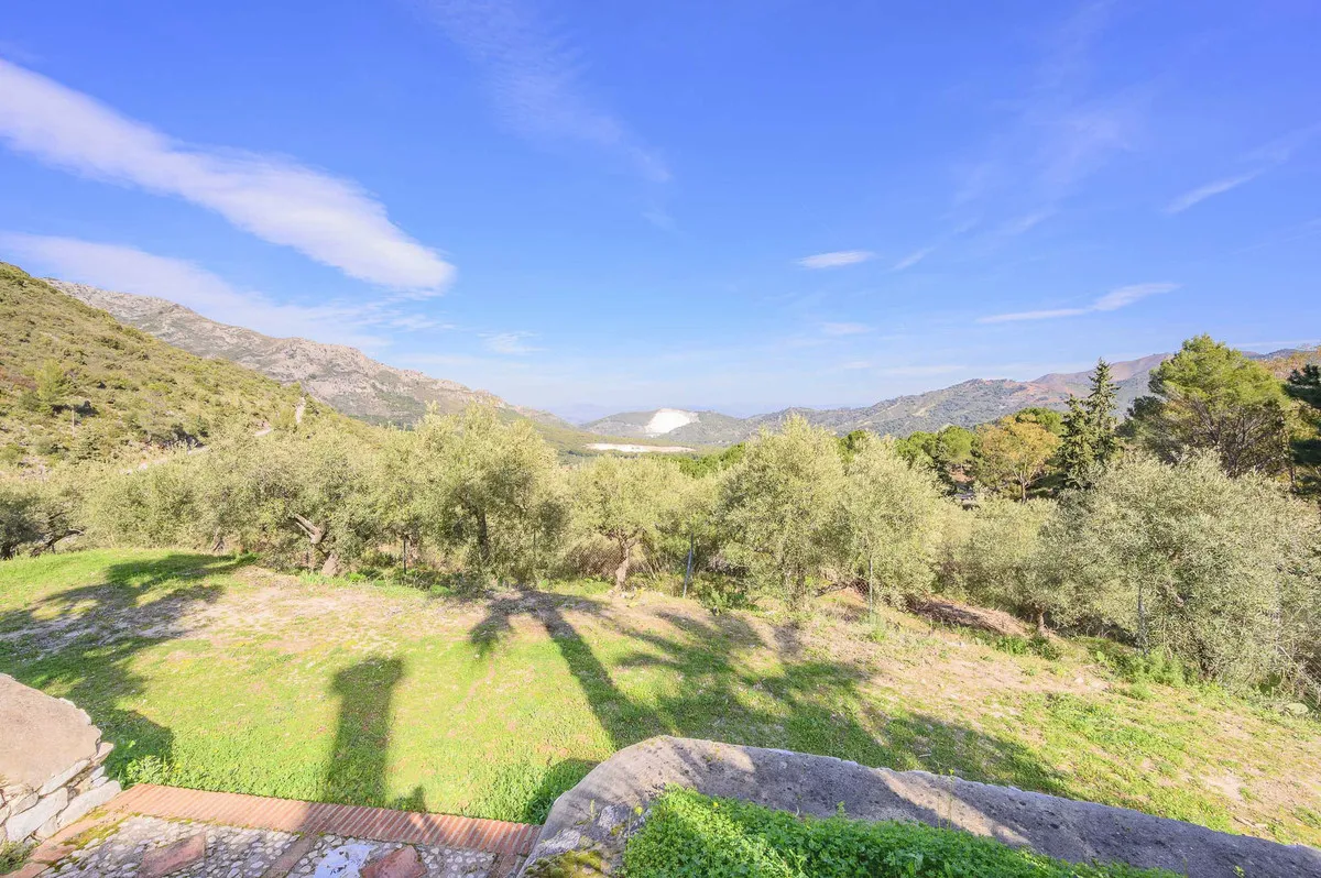 ae139d2d-74a5-491c-98f6-2f5cd91ee2d9