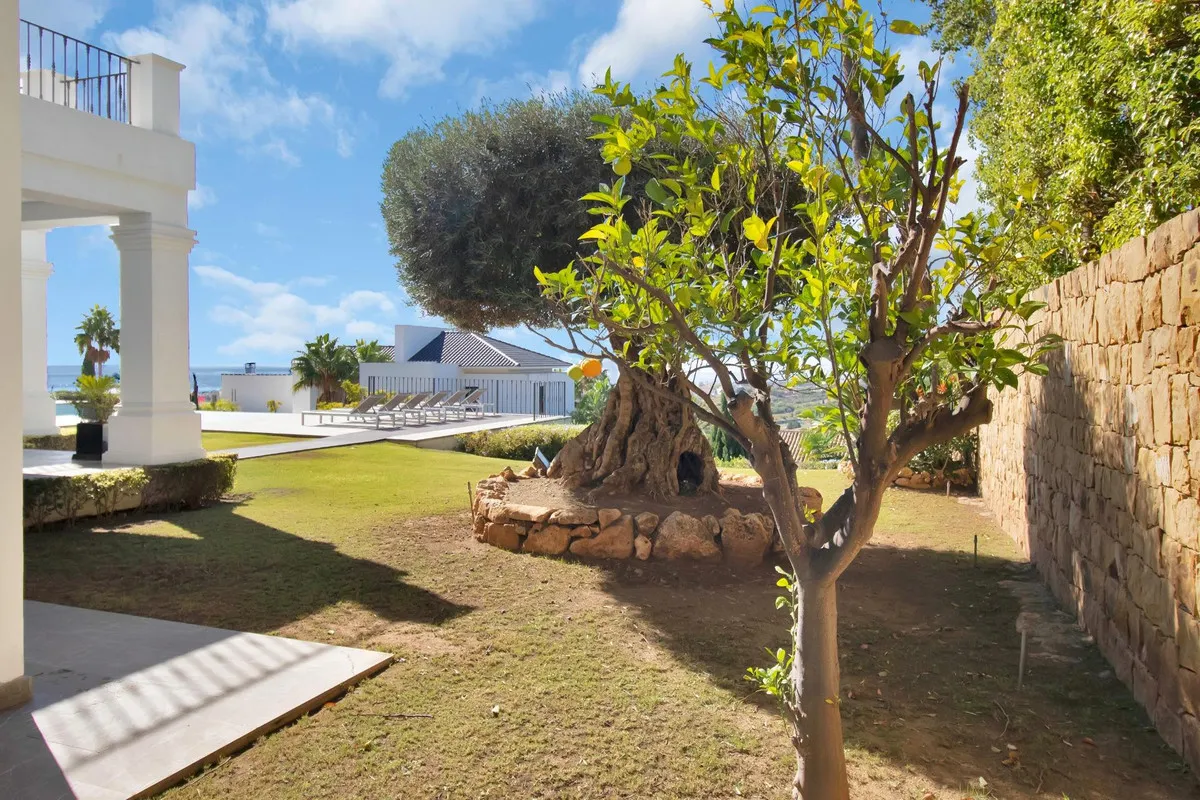 a99e625d-67fe-4849-b3f0-6e44a88e9094