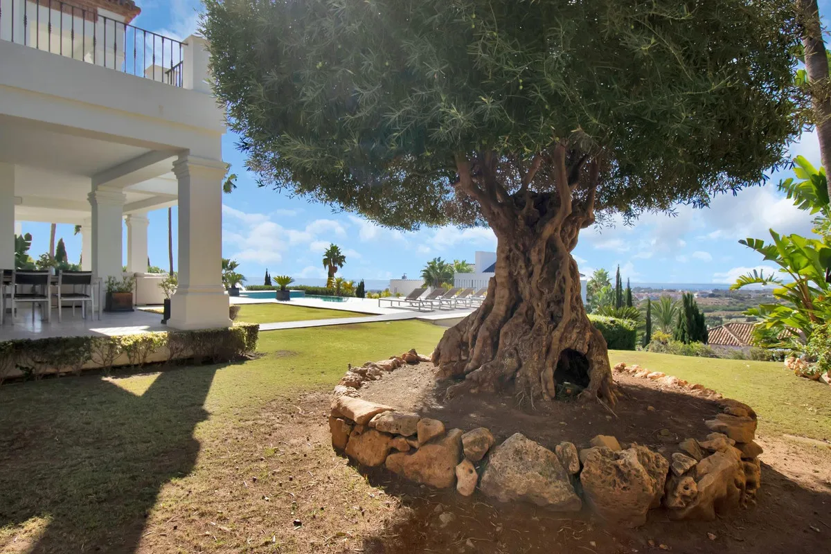 f93ad884-8d76-4491-ac81-340f3314c612