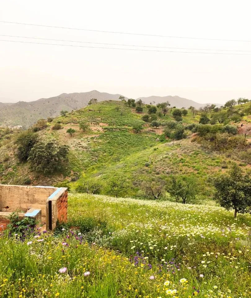 0abb0e5e-dd54-4312-9a78-7cf4f00c37cf