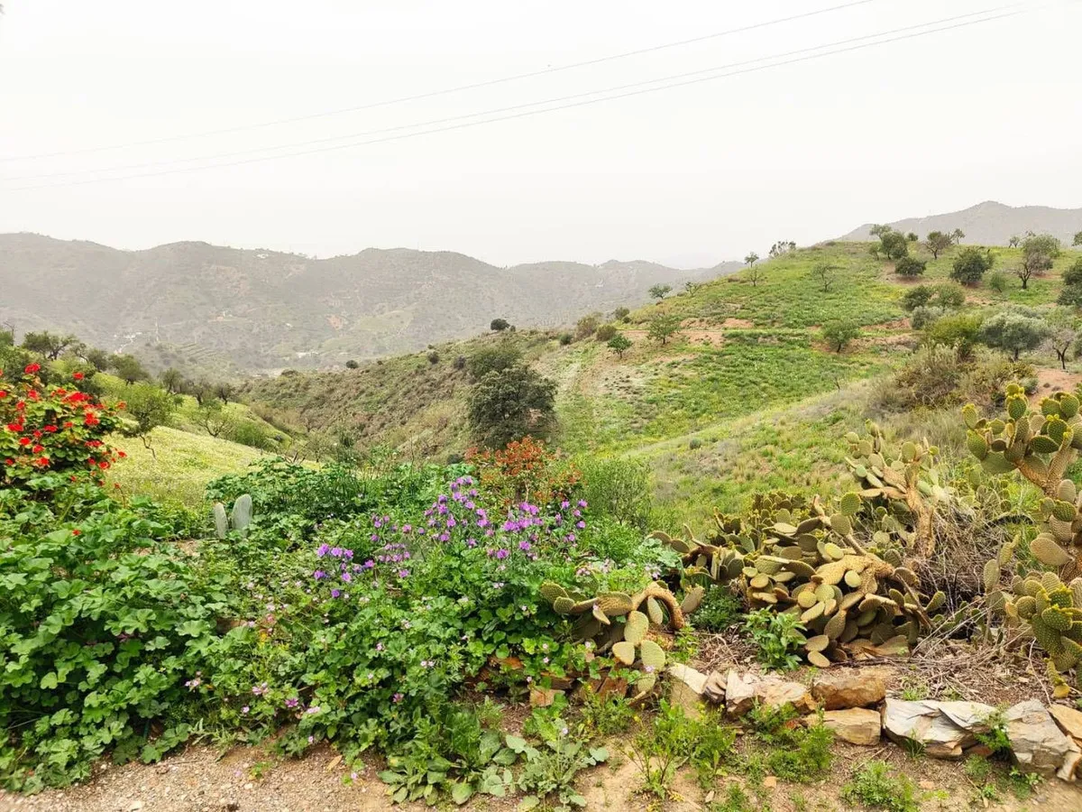 154f4be9-78a0-4e24-8945-5e101b731ba7