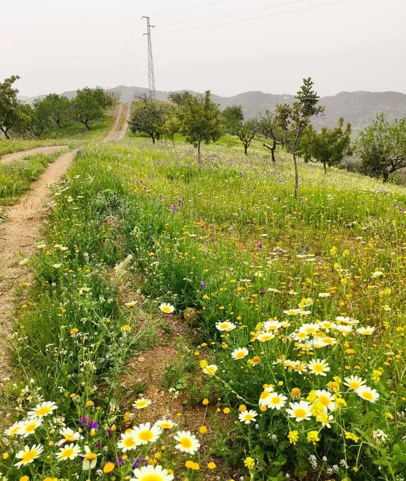 24708740-0b52-45f0-aebf-d1733f7ee45a