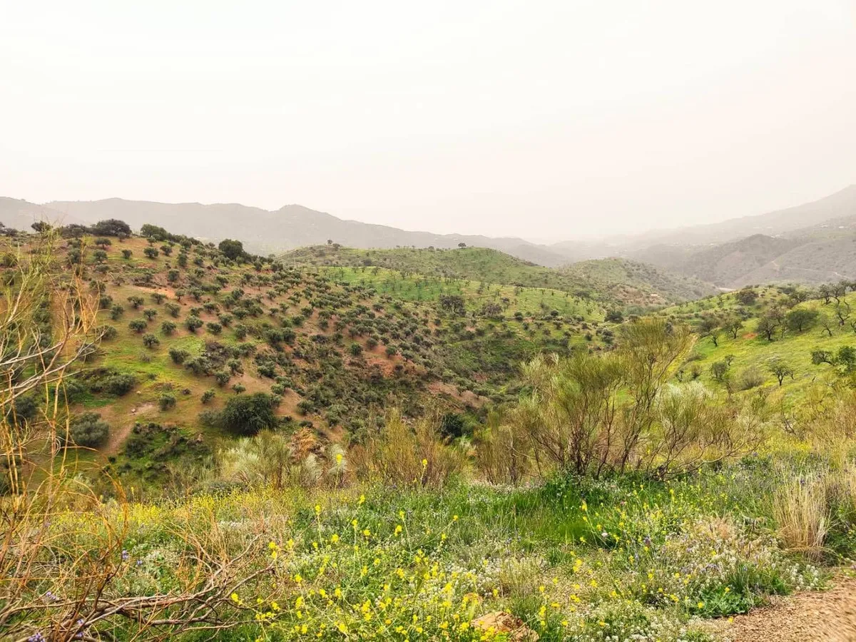 3e29ebd4-94fb-415e-9765-99754ef91035