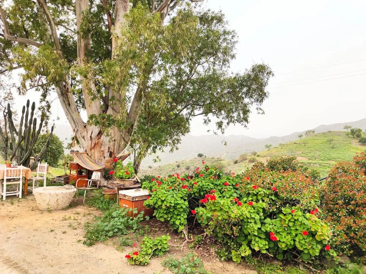 50b93c93-1ef8-4fbf-af02-491b312fc702