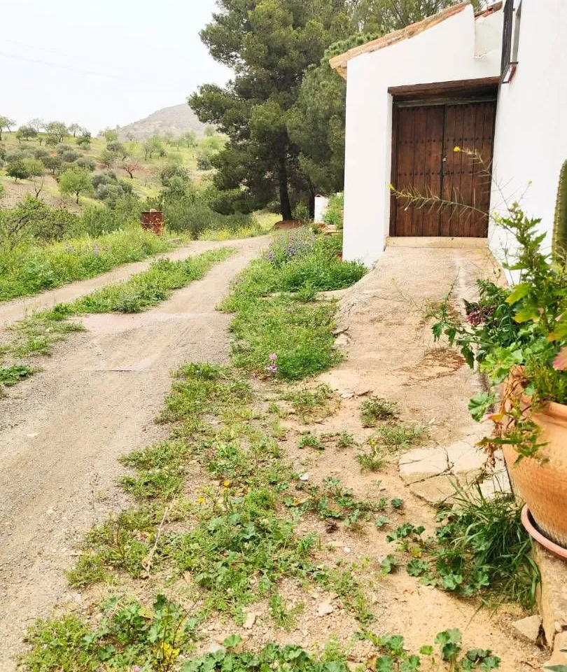 86b353eb-14b3-4952-a4c4-5eb0d40abb20