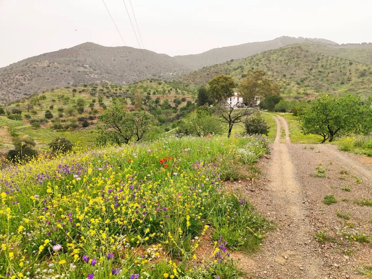 8d651520-52d4-4a0f-976b-3a62dc388f9a