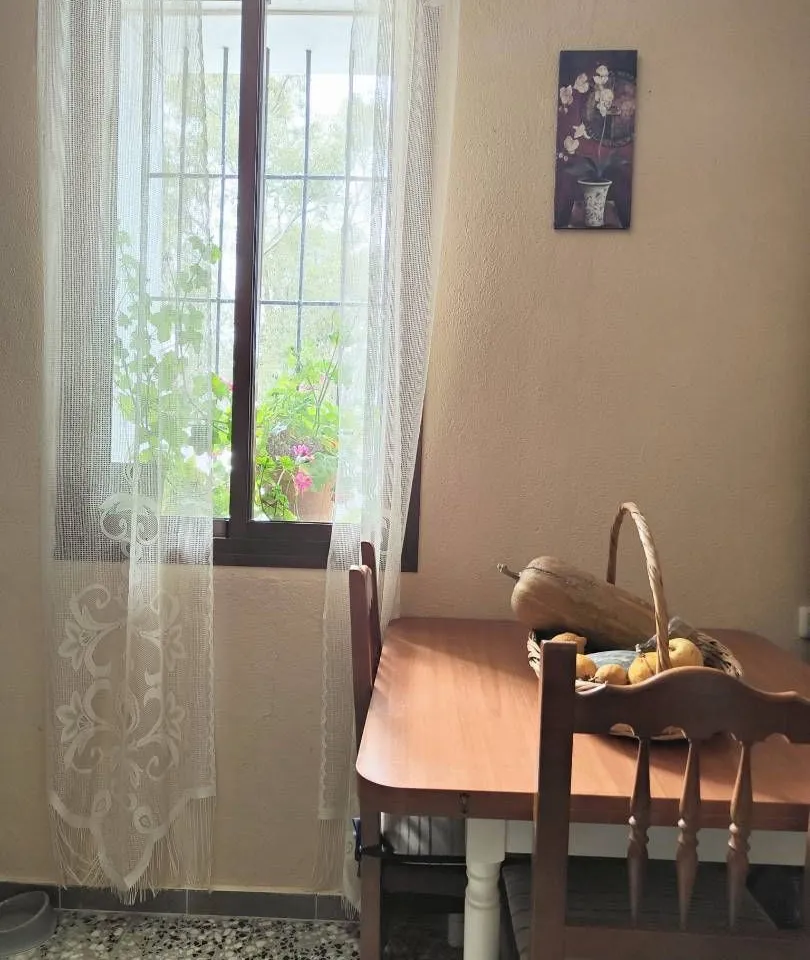 d88dba0e-3feb-4cca-abde-2530376240e7