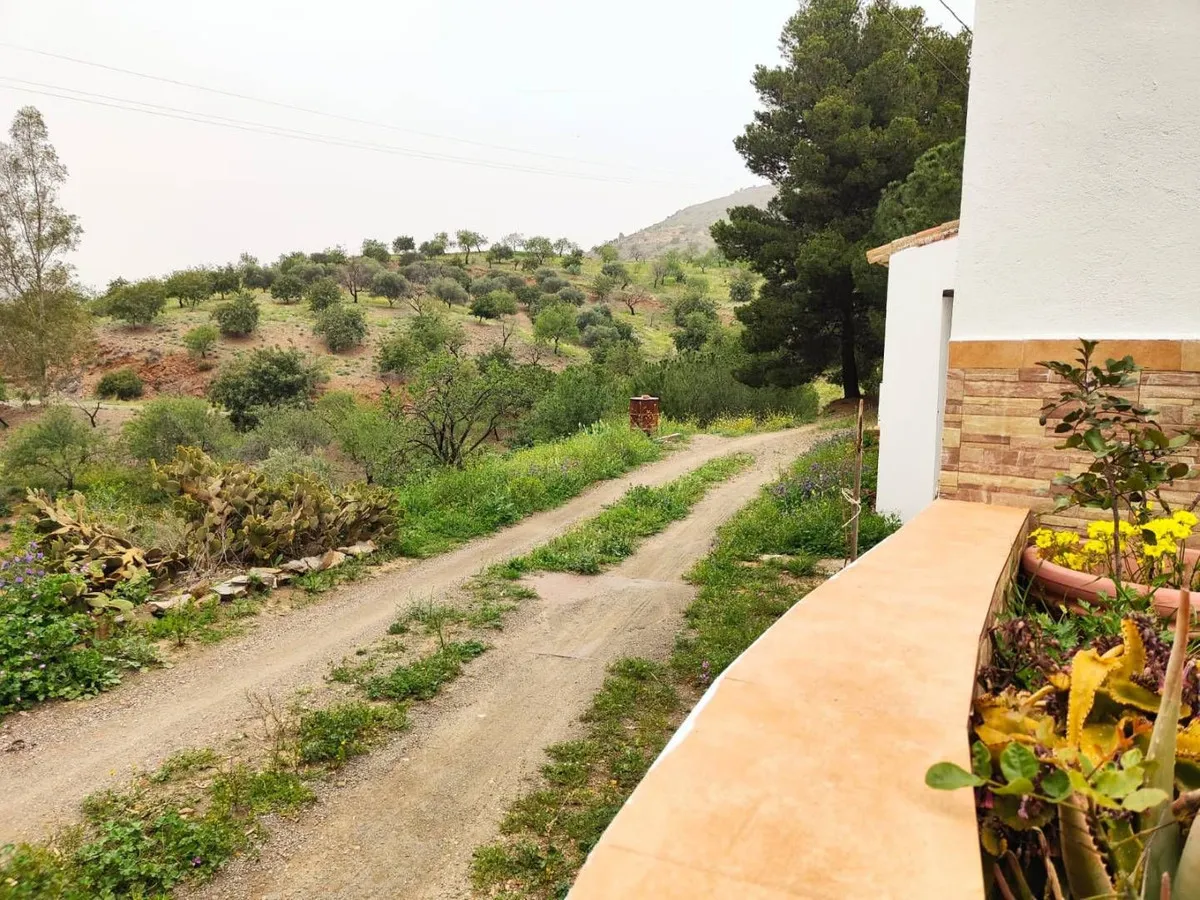 f7c39ece-49ce-4e9d-be8f-494ba171f4e2