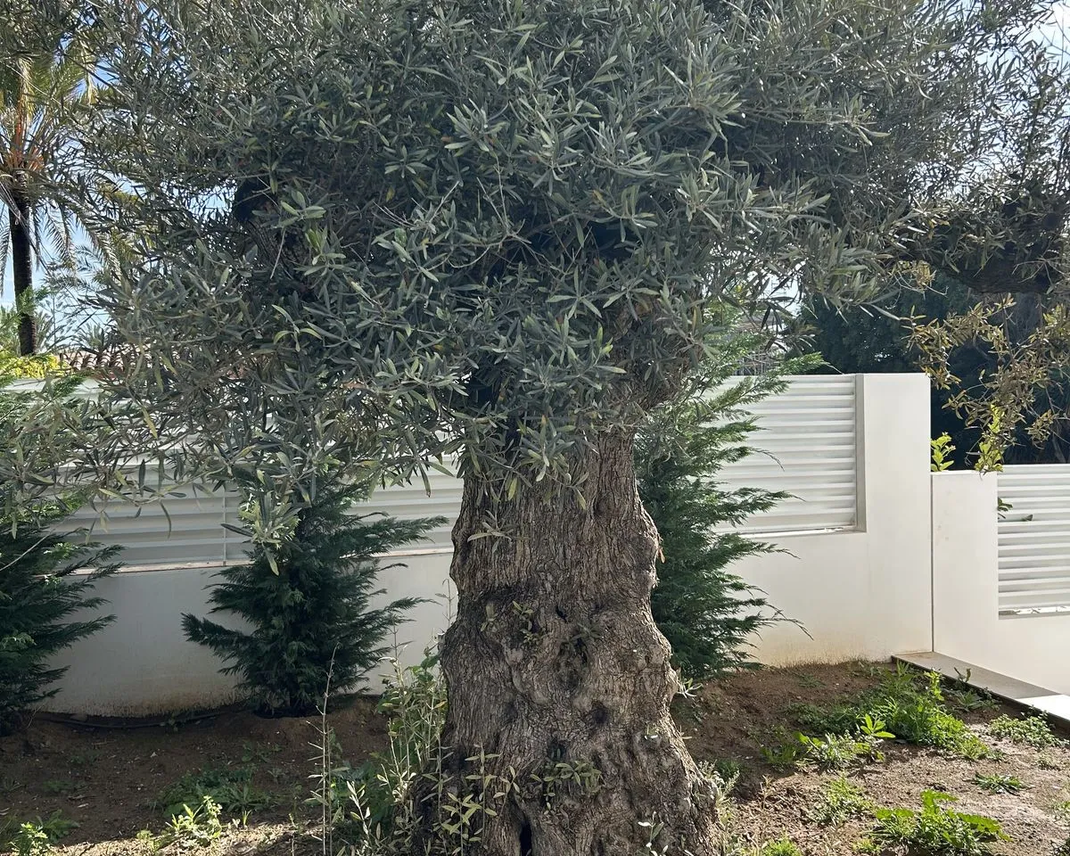 20e3c3b1-141f-4a06-81f9-e01f3362e3f3