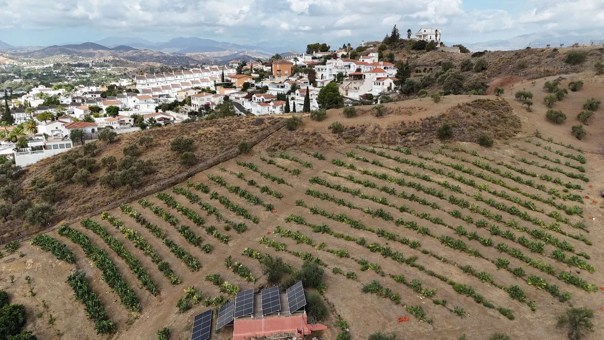 128f8e61-5131-4e2e-bd0d-38d58f0fcf0f