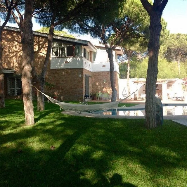 7b969555-effc-42c5-967e-d6d815883006