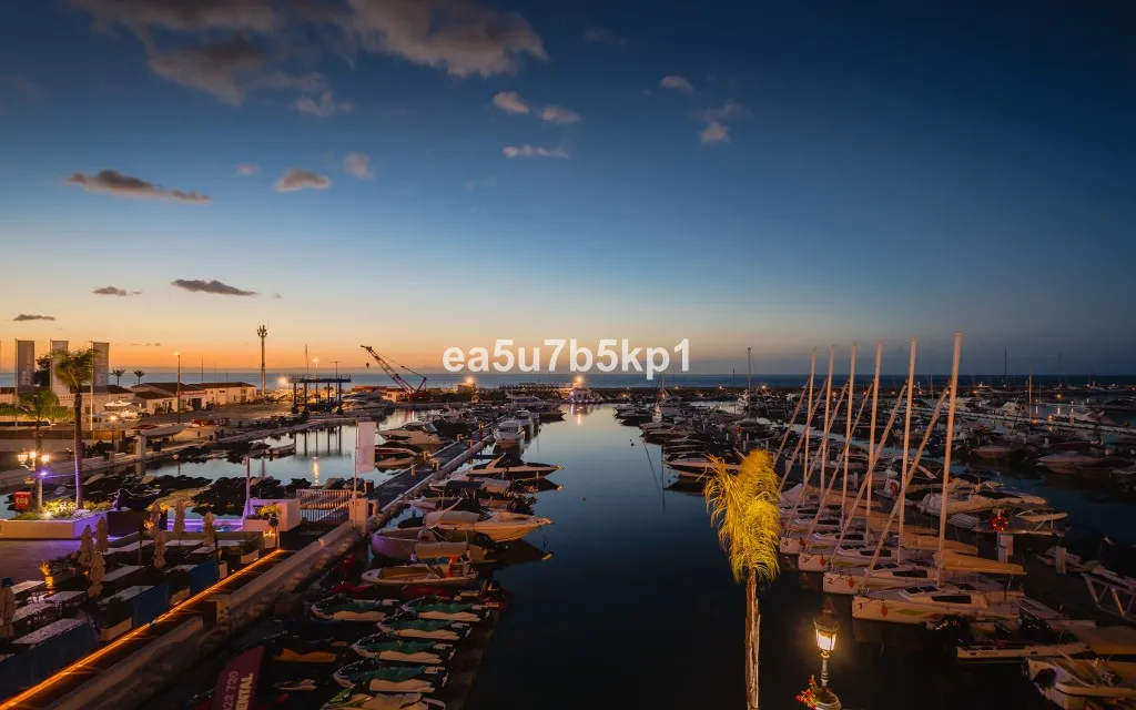 29e9a4f8-584a-4d9b-8b7b-af7fc9420219