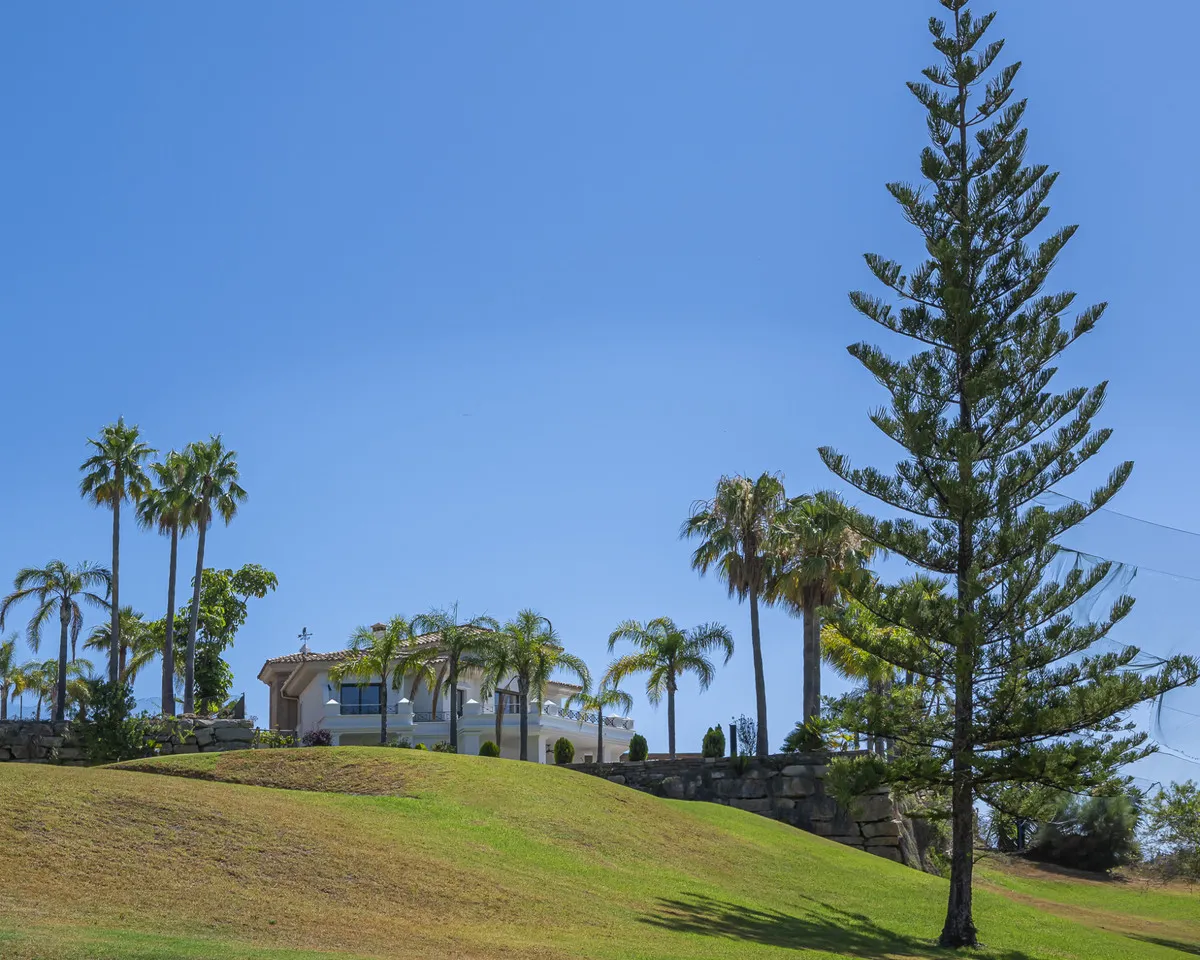 b74721a5-338b-44bd-8f56-e8ca89d4ceef