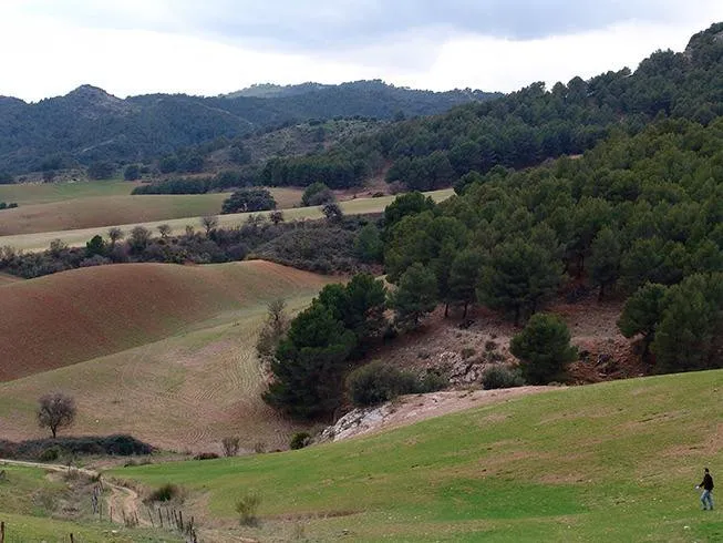 04d8a28d-ecfd-4063-bfd7-feccb94b54cc