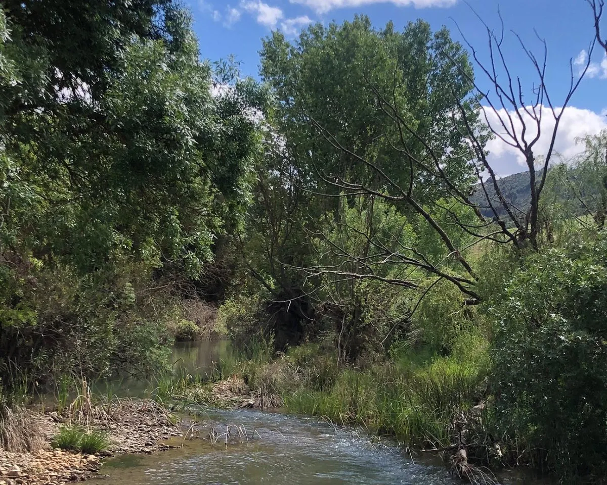 20370438-43a5-4be9-8f47-53a605ce5900