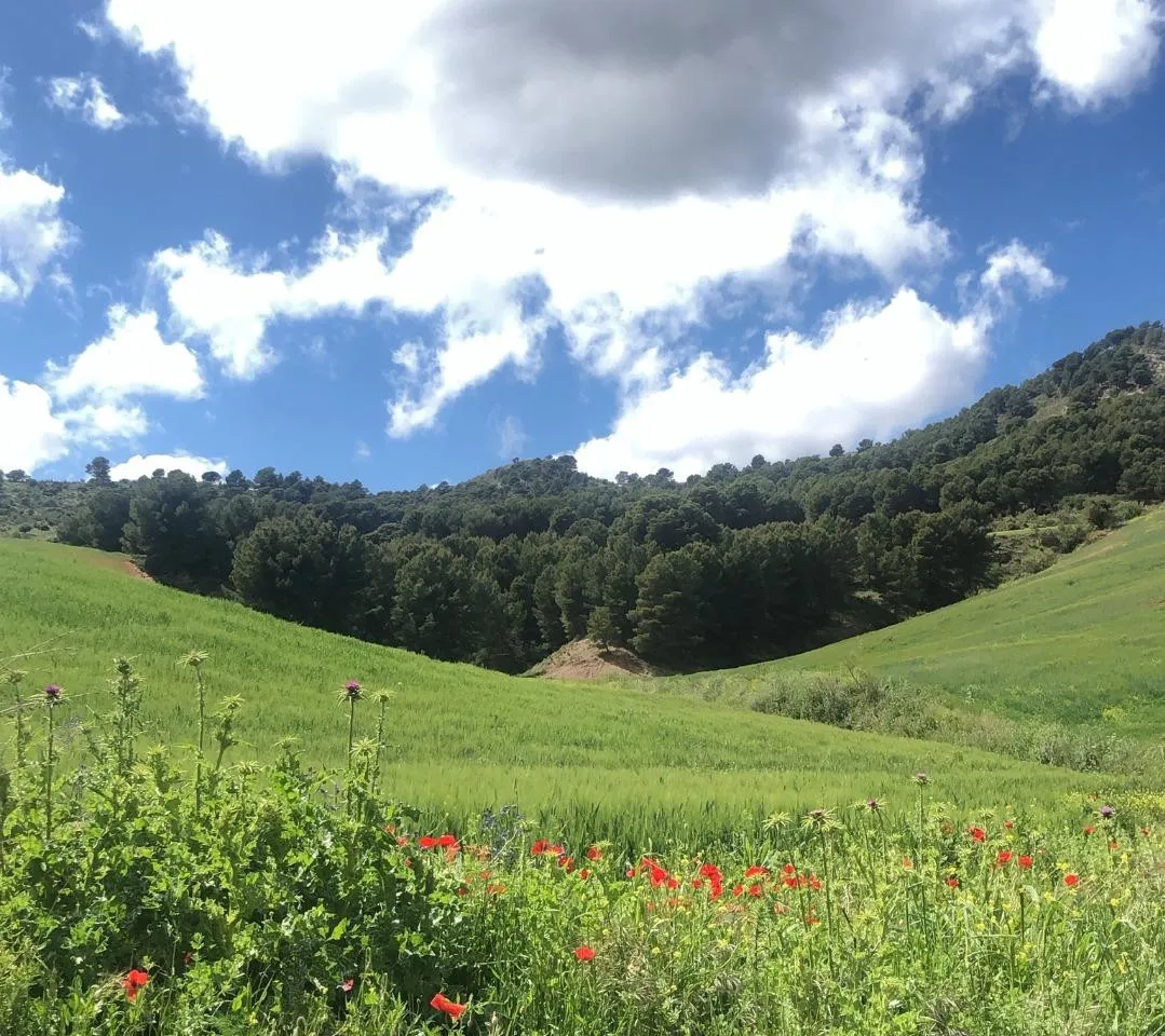 4be809f8-0fd1-4b90-ab88-f8d95eaca6a2