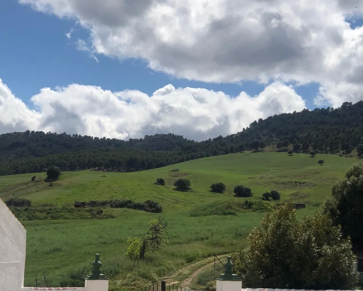 71446fb4-dfe9-4c80-997e-070d0ce2912f