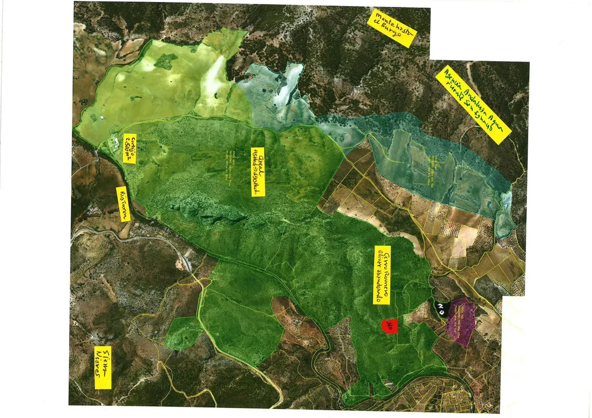 81151d76-84af-4f18-af1d-e81b4cd9e084