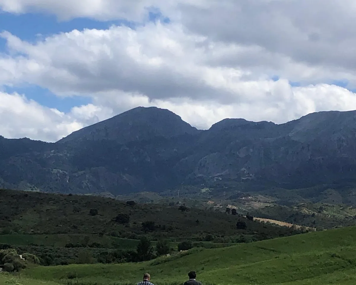 a323330a-6af3-4df6-bfc5-d2b3fa1231a3