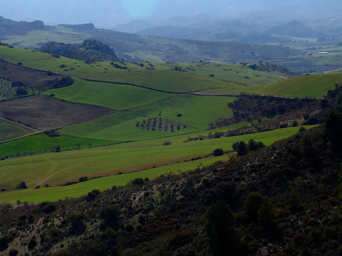 afbbc01e-321b-4acc-9089-5f112c1f21ba