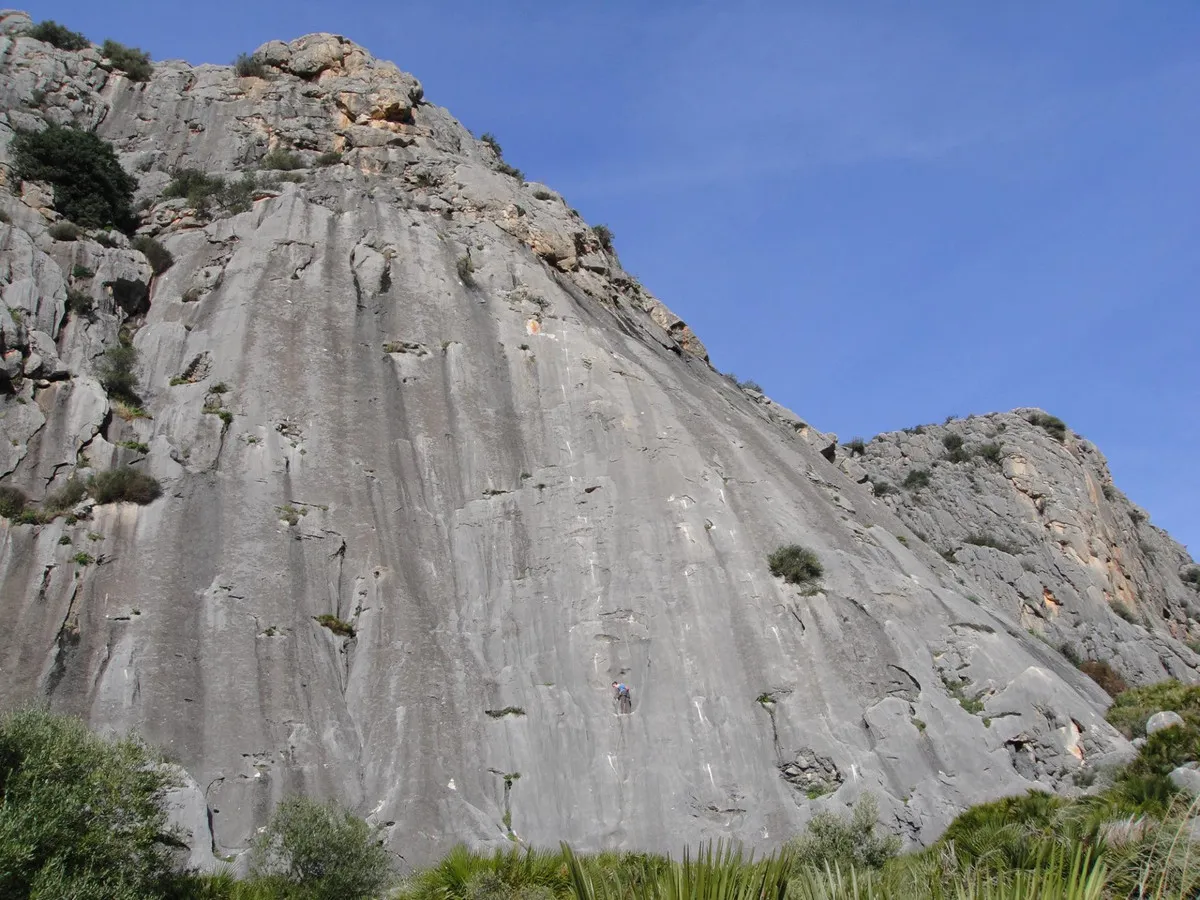 be6fb15d-331a-438d-afdb-d6bc1847b1f7