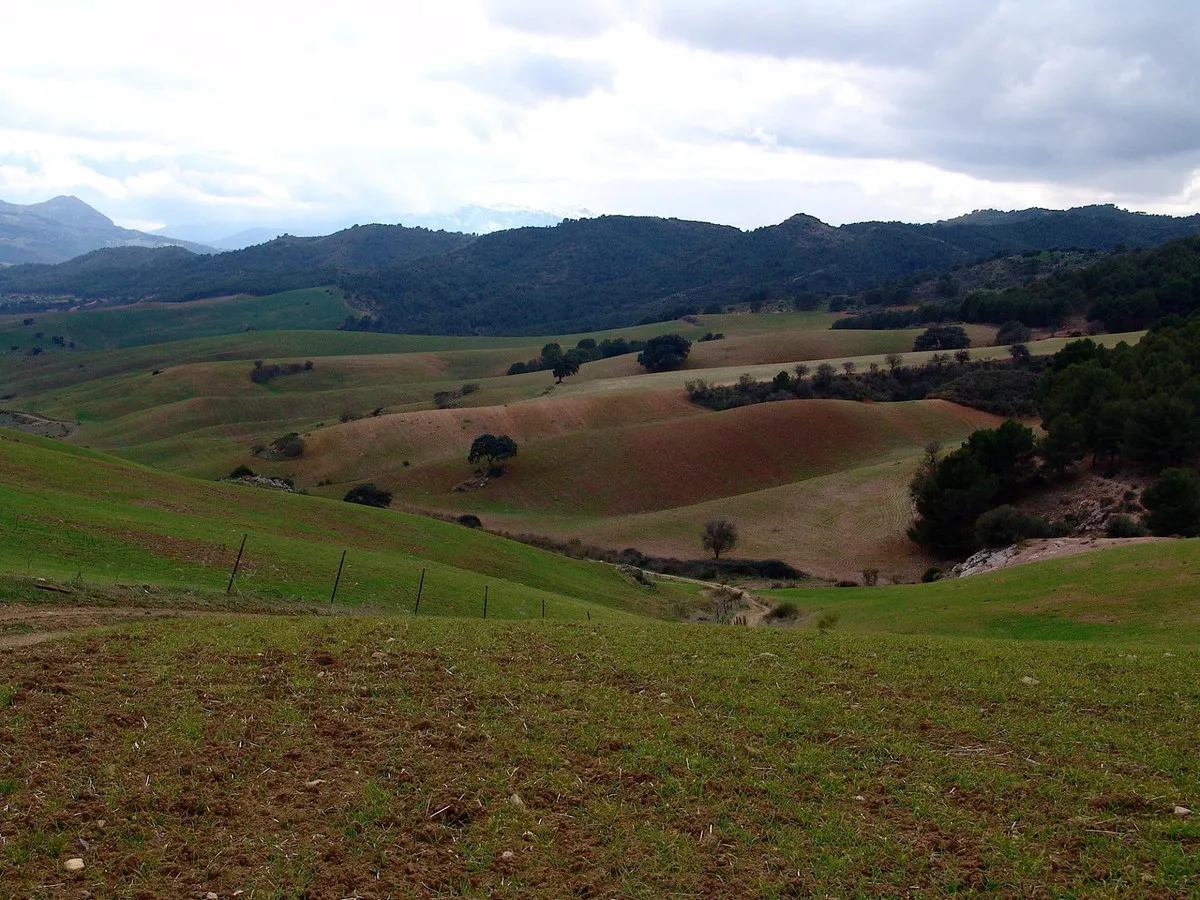 daff379b-82ba-4552-9877-d86f4cb58057