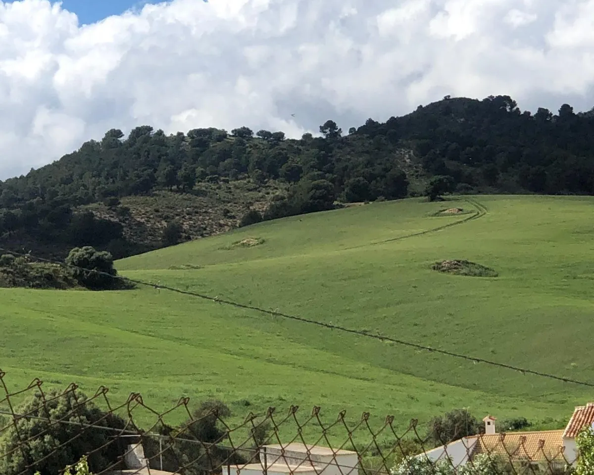 db2a3733-7919-4af0-b9d3-7703269db6cb