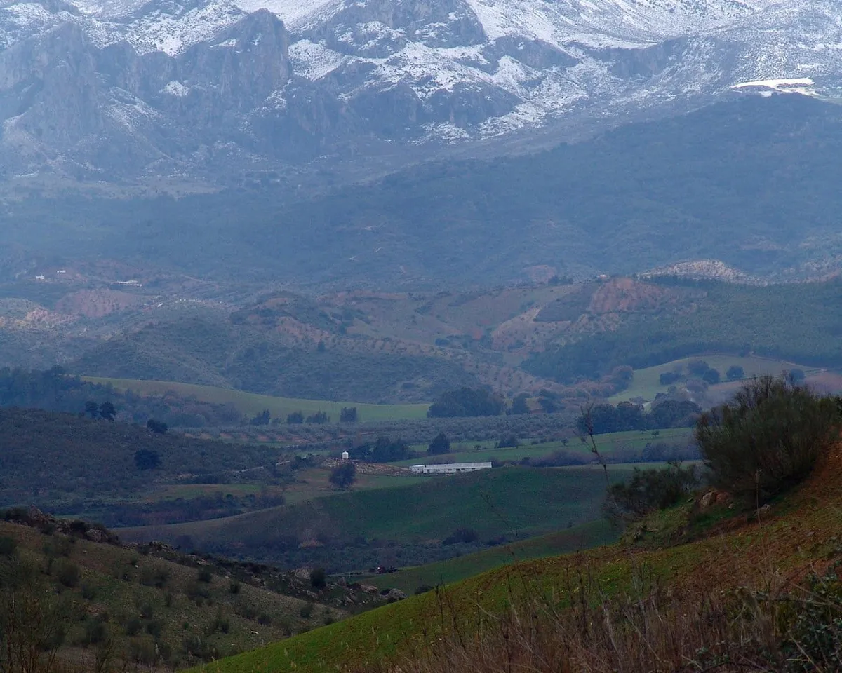 e519d0f9-b384-46ea-8a92-685fe7f3f3aa